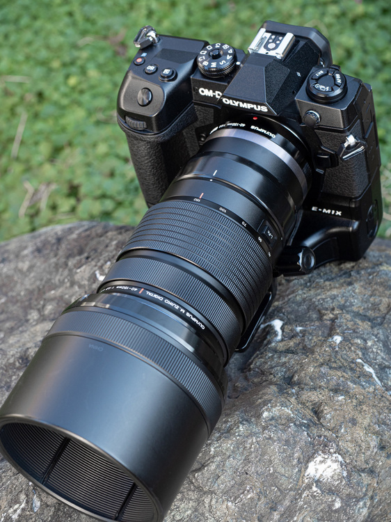 OM-D E-M1X画像