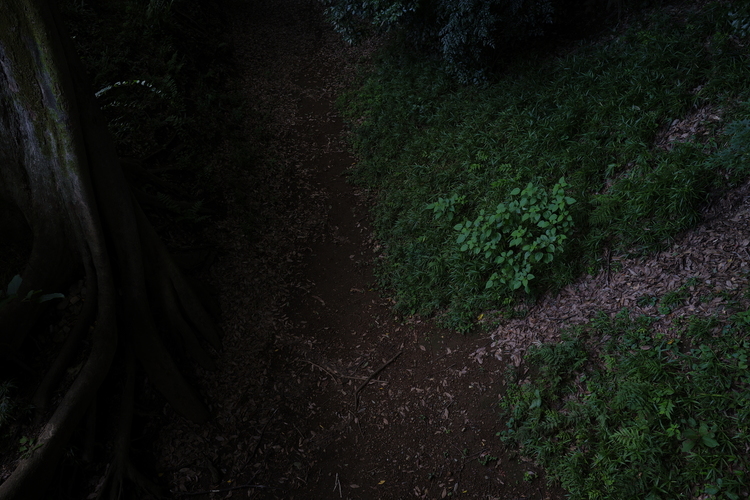 SIGMA 24mm F2 DG DN作例.jpg