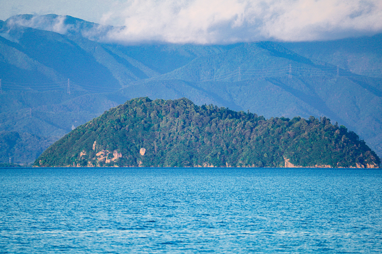 TAMRON 150-500F5-6.7DiⅢ VC VXDの作例007-500mm.jpg