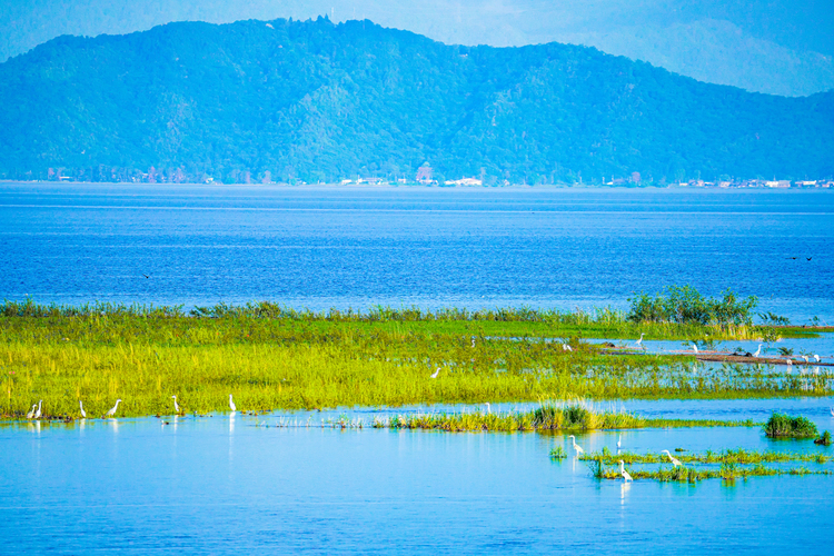 TAMRON 150-500F5-6.7DiⅢ VC VXDの作例011.jpg