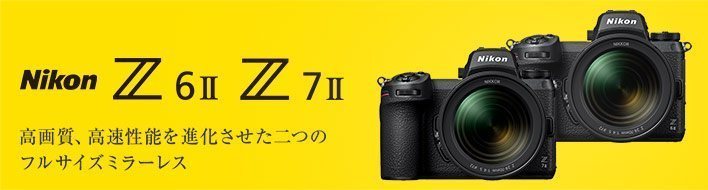 z6iiz7ii.jpg