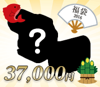 デジカメ福袋37000円シルエット