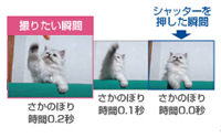 製品写真：カシオ EXILIM EX-FC150