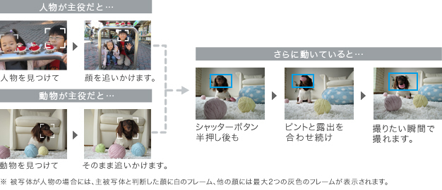 写真の主役を勝手にキャッチ。動いていてもピントはそのまま