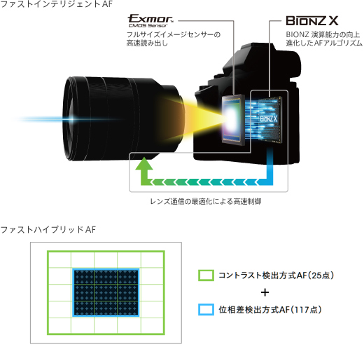 圧倒的な高画質で一瞬を逃さない高速AF