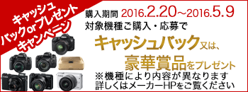 キャッシュバックキャンペーン