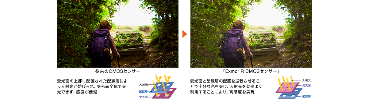 解像度が向上した画素加算なしの全画素読み出し（＊1）「Exmor R(R) CMOSセンサー」