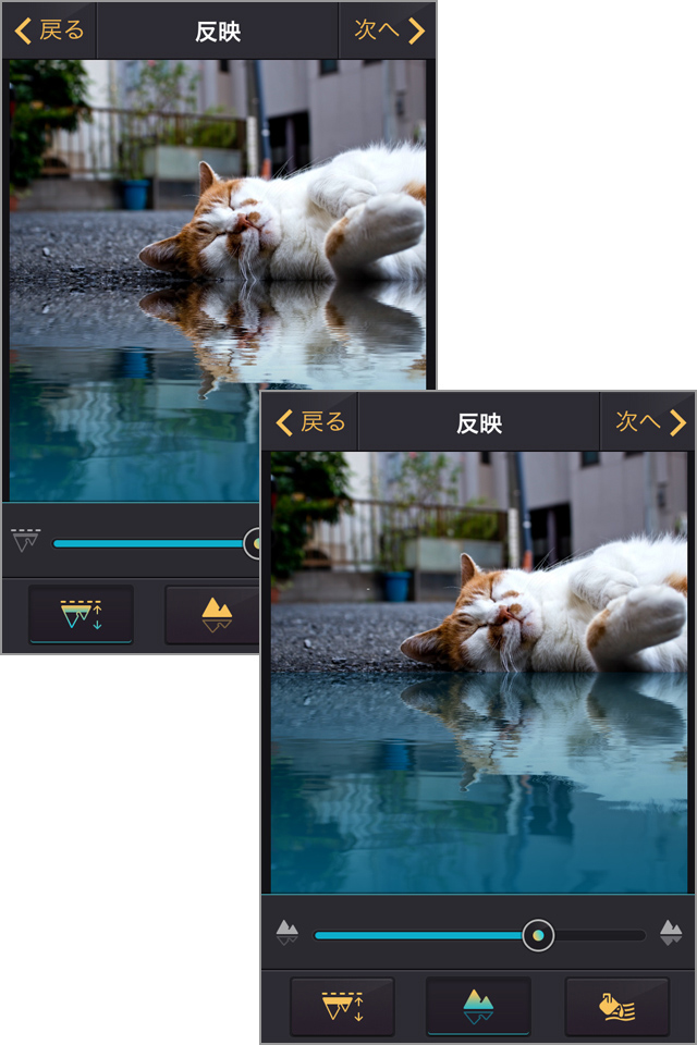 画面中央から下が水に映ったように見えます!