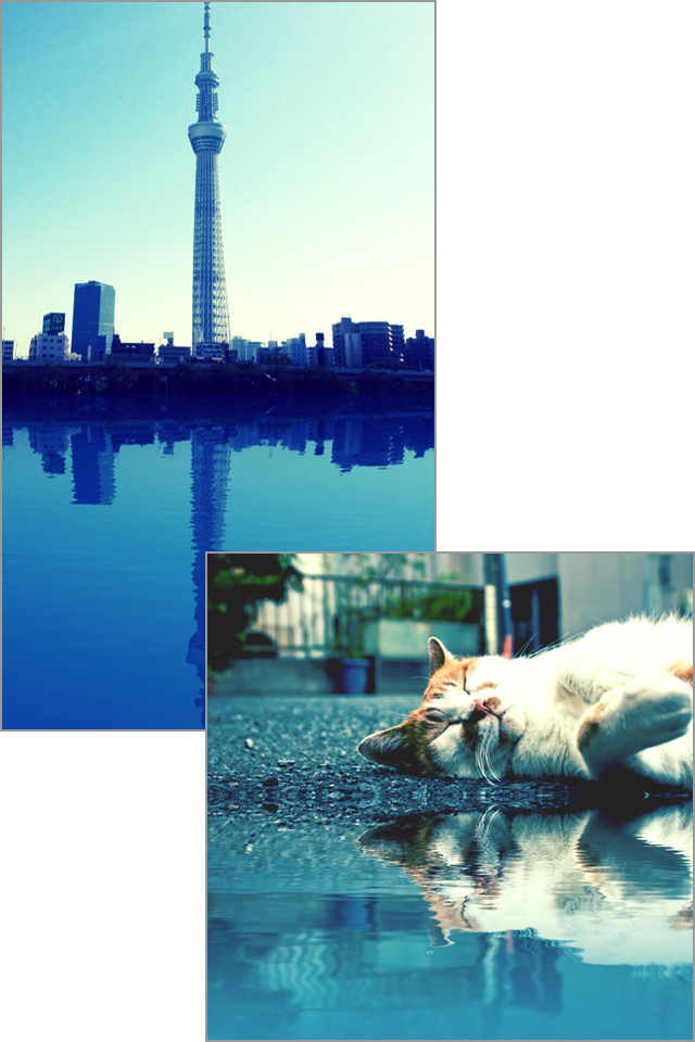 本当に水辺で撮ったような写真ができました!