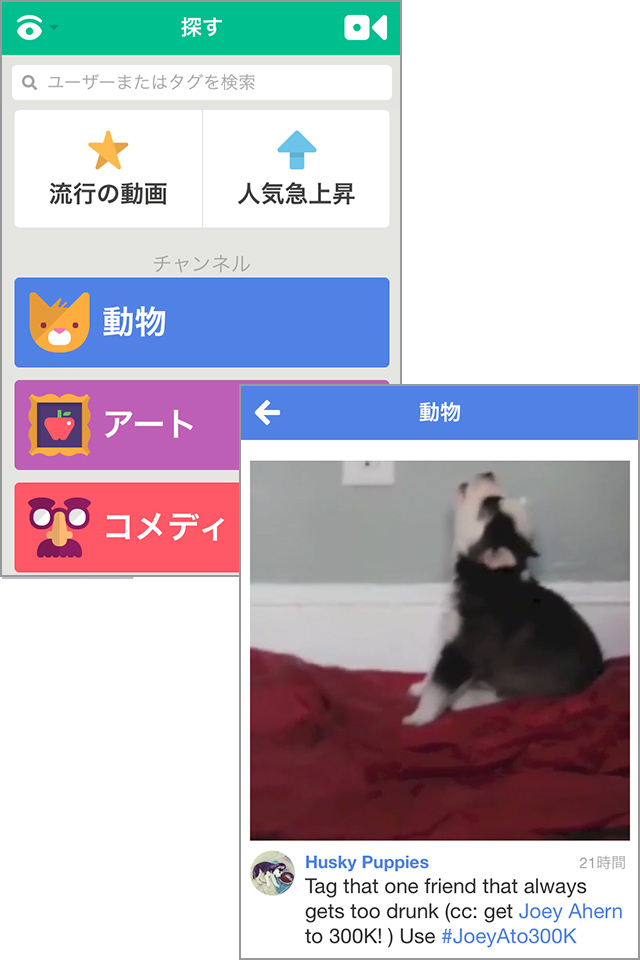 画面をタッチするだけの簡単撮影!