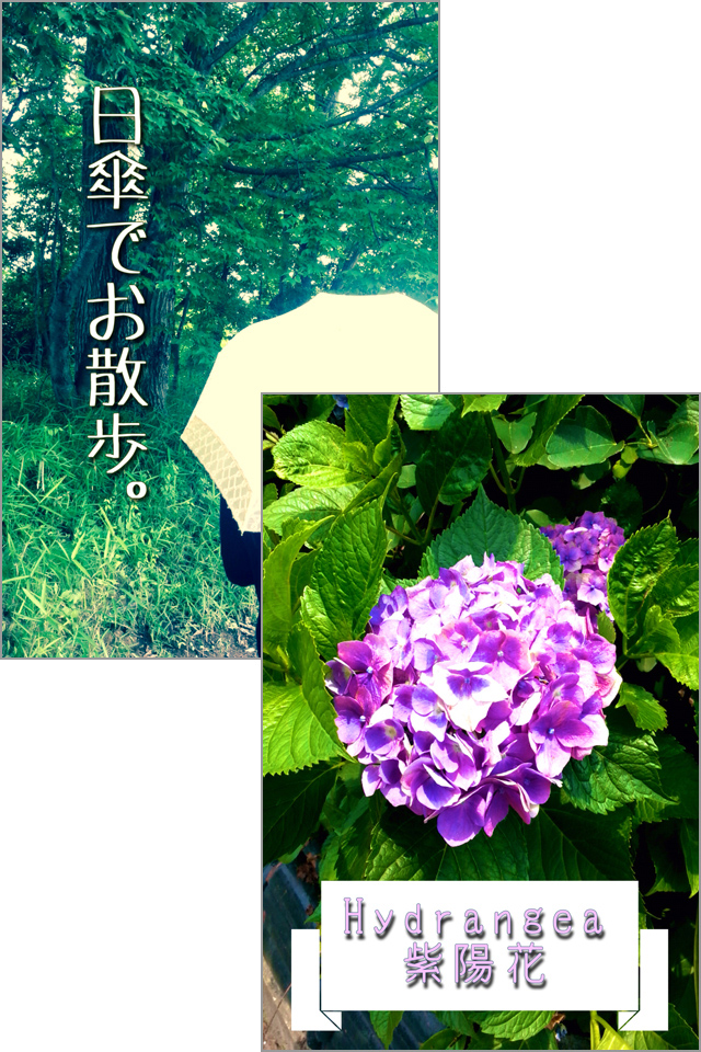 文字を入れた印象的な写真をSNSで共有!