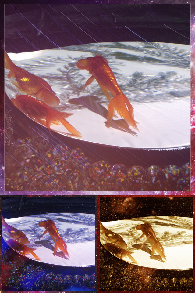 流れ星や天の川を加えた美しい写真が完成!
