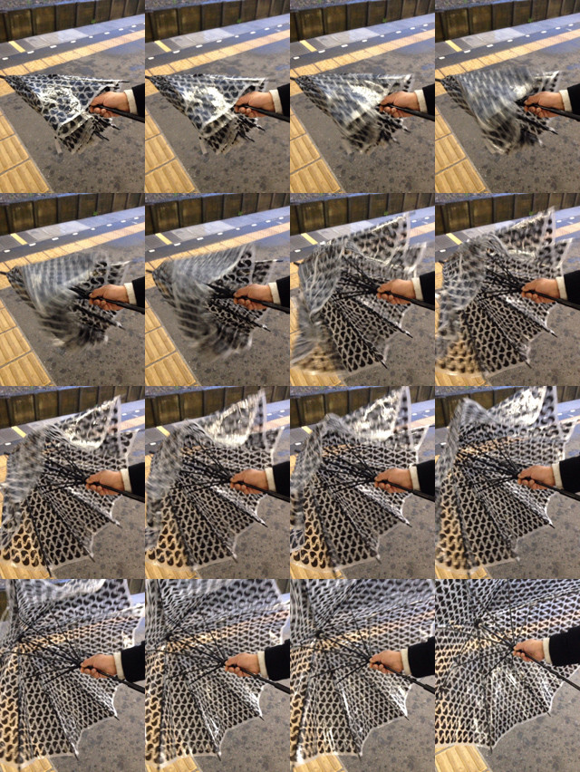 動きのある被写体を連写で捉えよう!