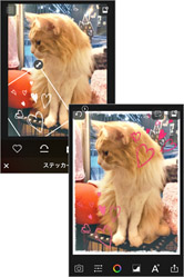 フィルタは全画面で確認できて分かりやすい！