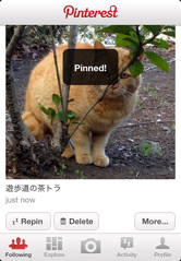 Pin!