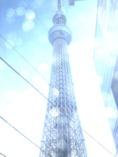 こんな写真ができました
