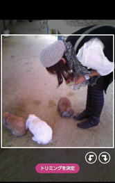 自由自在にかんたんアレンジ!
