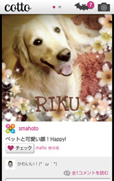 ステキな写真がテーマ別に表示されます。