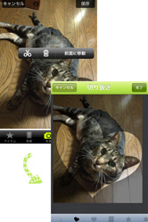 背景と写真を選んでスクラップブックを作りましょう!
