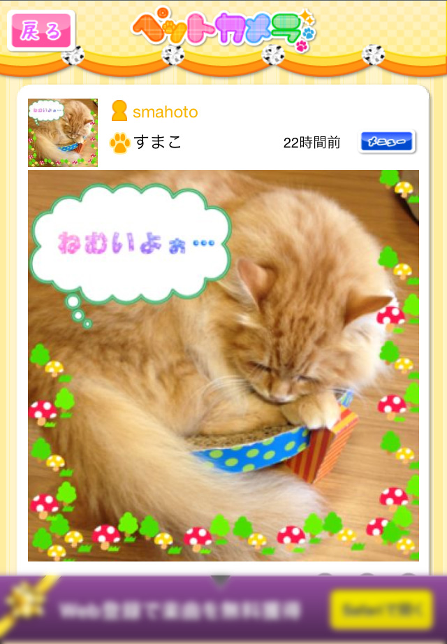 みんなの可愛いペット写真。癒されます~!