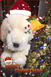 メリークリスマス♪