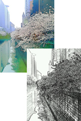 本物のスケッチのような写真ができました!