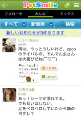 ペット好きの仲間がたくさんいるので、楽しく交流できます!