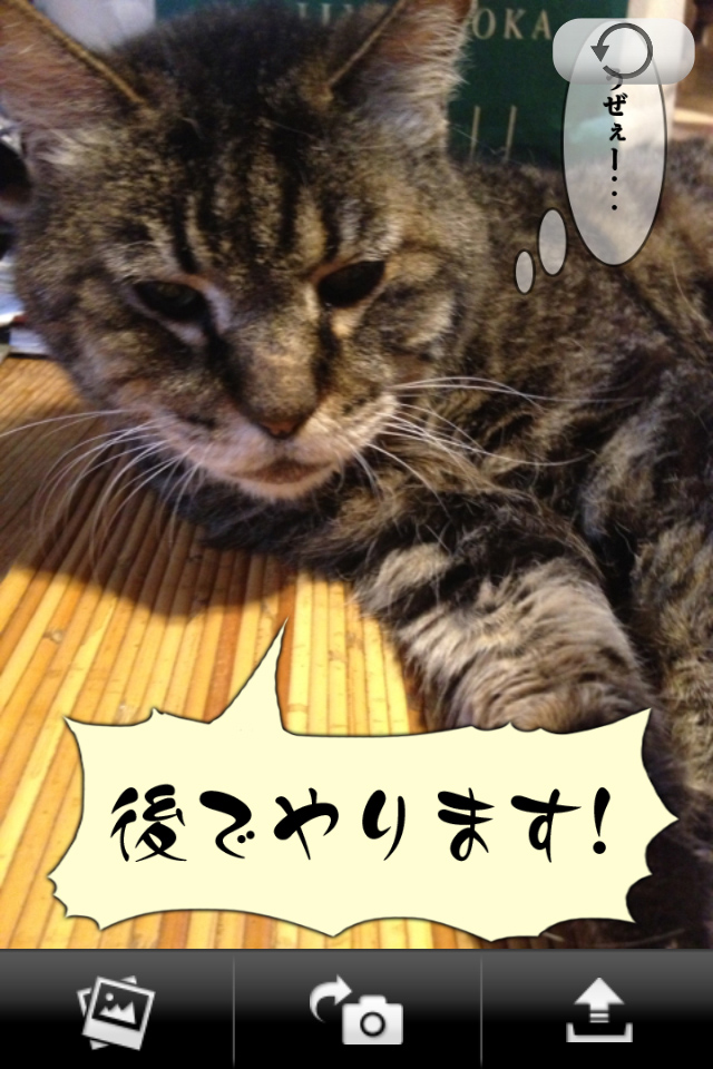 おもしろ写真はどんどん共有!