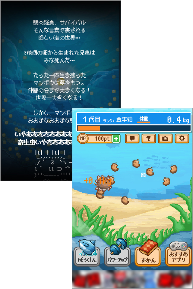 海の生きものを食べさせて大きく育てましょう!