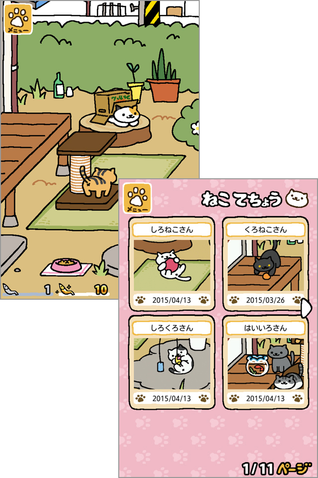 ねこがたくさん庭先に集まってきました!