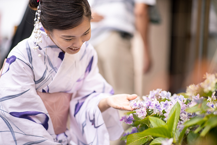 着物の柄と季節の一覧|いつ何を着る?旬を先取りする粋な選び方
